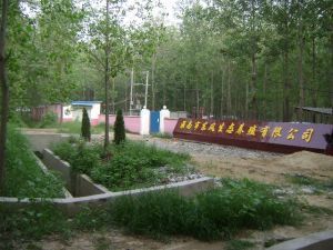 家禽养殖 现代技术与传统智慧的结合