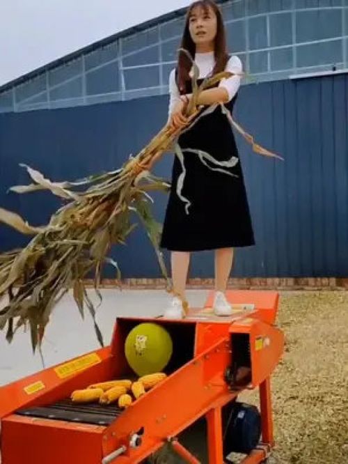 科学养殖三部曲 从水产到畜牧的喂养小妙招