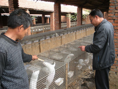 皇华社区分院特种动物养殖技术培训班 家禽养殖新动能，助力乡村振兴